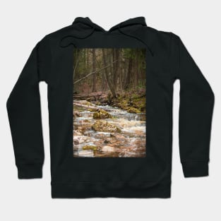 Forest Creek and Mossy Rocks Hoodie